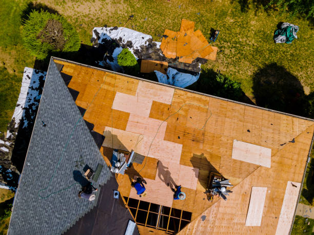 Best Shingle Roofing Installation  in Crossville, TN