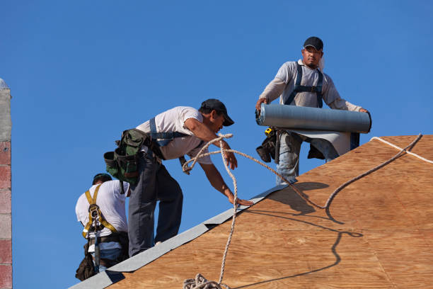Best Local Roofing Companies  in Crossville, TN